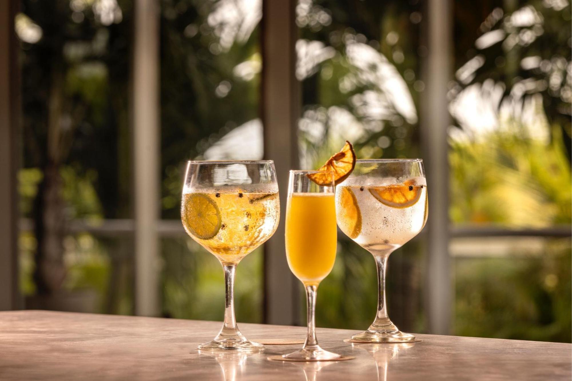 Santa Marta Marriott Resort Playa Dormida Extérieur photo Glasses of ginger beer